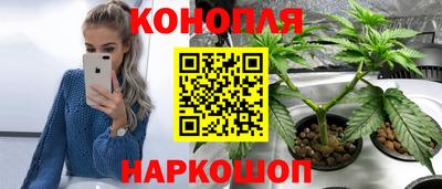 прущий лед Кингисепп
