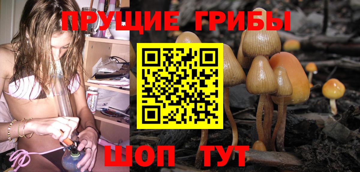 Псилоцибиновые грибы прущие грибы  Вход с VPN  Кубинка 